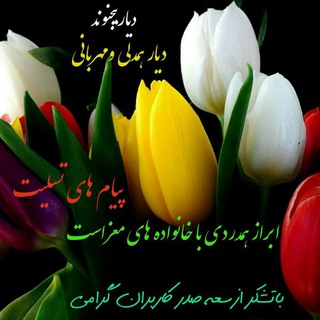 مسافران آسمانی دیاربیجنوند و حومه