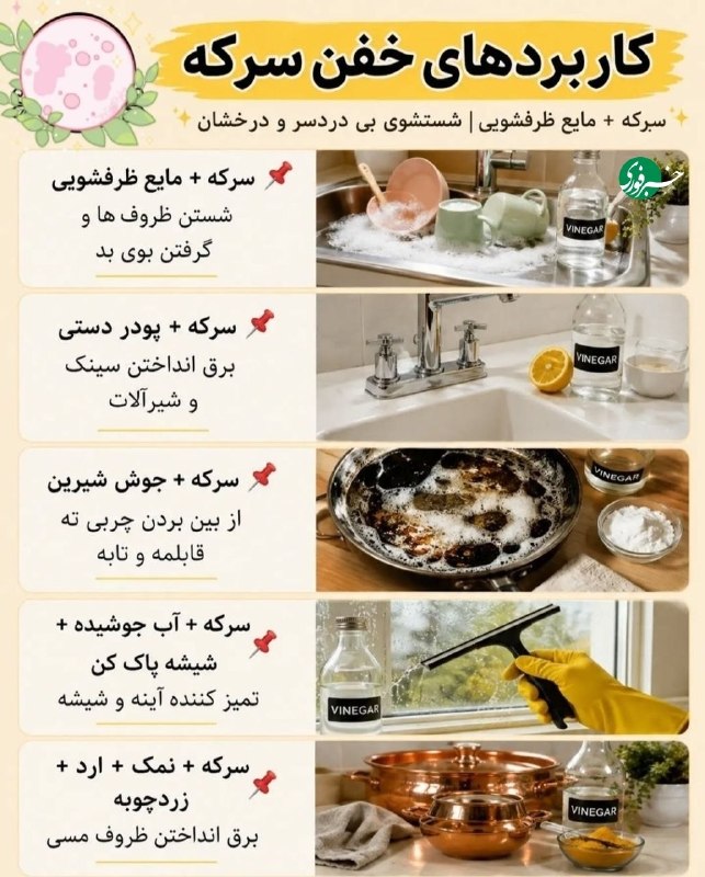 خبرداغ: 🔴کاربردهای سرکه برای تمیز کردن🌐 https://www.khabaredagh.ir🆔 @khabaredagh 👈
