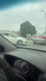 בדרום ישראל הגיעו בוחרים ערבים רבים לקלפיות על גמלים וחמורים כדי להצביע בקלפי.
