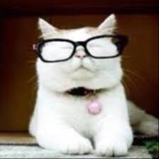 Telegram profile photo for Catturd ™️