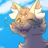 ⋅ ✧ SylphLuckyRay ✧ ⋅