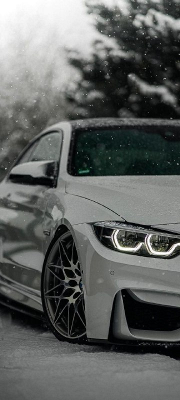 https://t.me/bmw_mpower_club