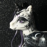 MLP CUSTOM AuctionS