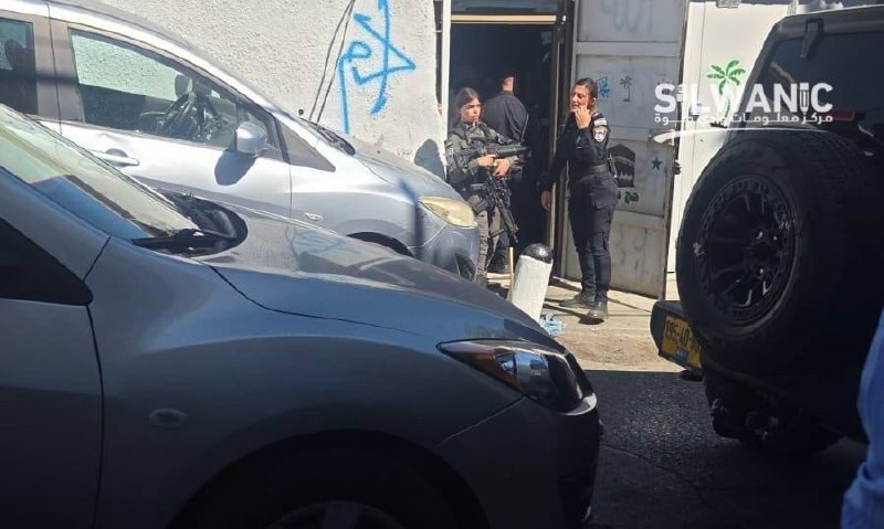 דיווח: צה"ל עצר שני פלסטינים, התעלל באחרים ופשט על בתים בסילוואן