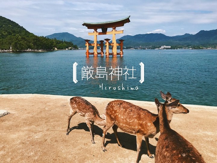 【日本廣島】用JR周遊券搭宮島渡輪-遊嚴島神社看海上大鳥居