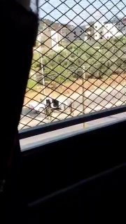 כוחות הכיבוש הכו והתעללו בצעיר ברחוב הראשי בעיירה חווארה מדרום לשכם.