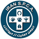 حیوانات واگذاری