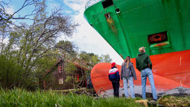 Cargo Ship Crashed Into Man’s Yard After Crewman Fell Asleep, Police Say