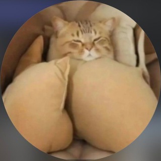 💦 Holy Yoly OF / HolyYoly FREE Telegram Group Link