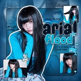 arial flood info