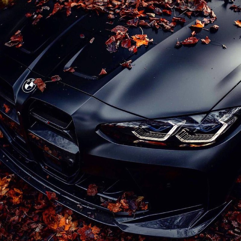 https://t.me/bmw_mpower_club