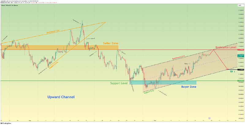 Crypto Signals | ChartMonkey