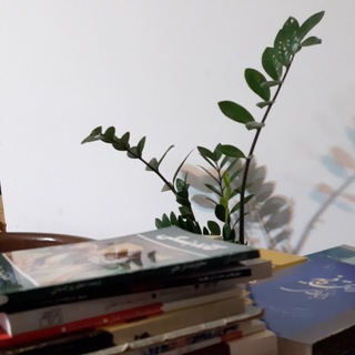 کتابفروش
