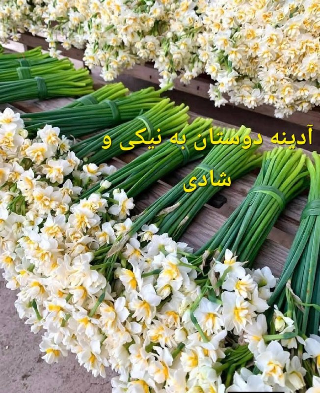 ایران زیبای من♥️🌹My Beautiful Iran: رسانه پست