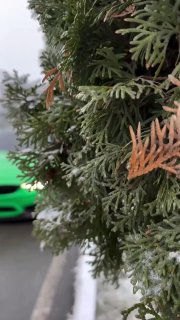 https://t.me/bmw_mpower_club