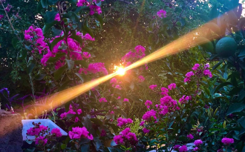هہەسـ๋͜ـﮧتـً๋ـ๘ٌ๋ــی دٰڵم 🦅🖤: 🌟🐝🍯جیاوازی لە ڕا و بۆچوونەکاندا سروشتییە، 🌟بەڵام پاراستنی ڕێز لە کاتی جیاوازبووندا هونەرە🍯🐝…❗️❗️❗️❗️❗️❗️❗️#Dahen🖤