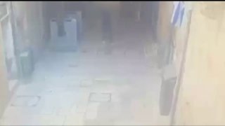 ענבר טויזר