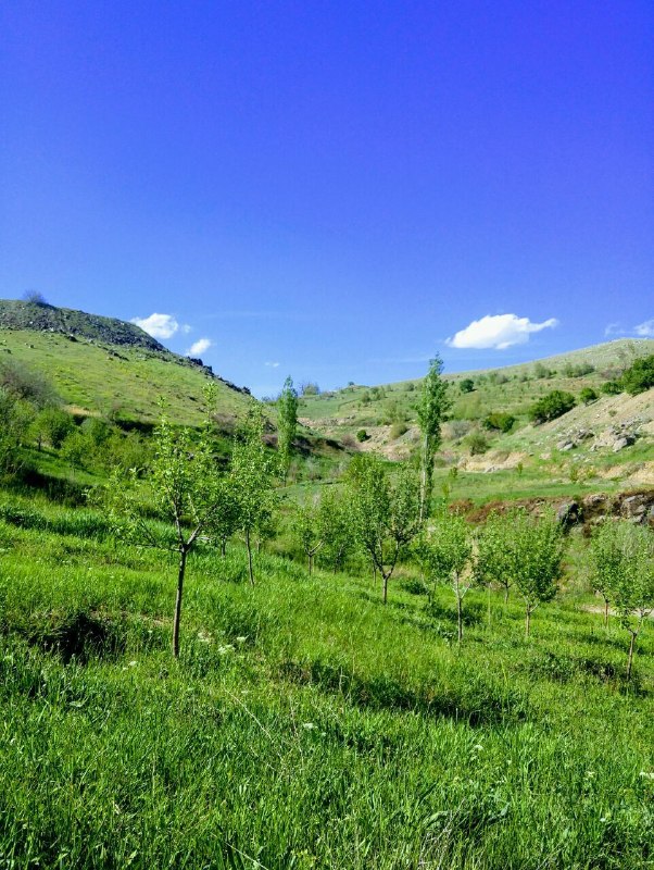 کانال رسمی روستای ده کوثرdehkoosar@: رسانه پست