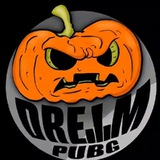DreamPubg🎃