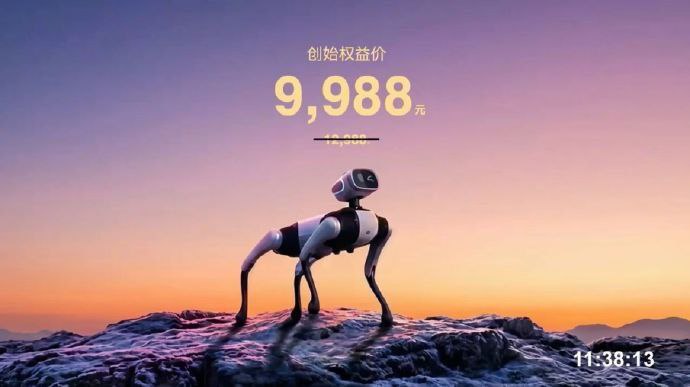 明明是狗，看着像人，姿势妖娆