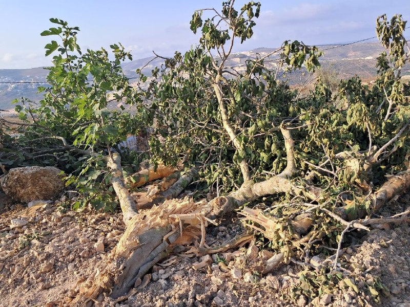 רשת חדשות ירושלים
