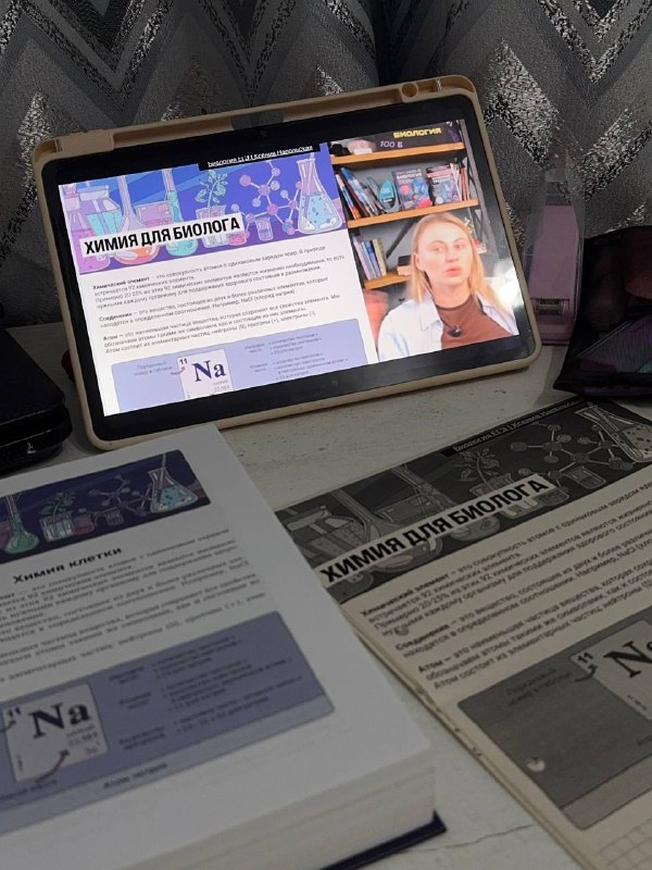 Иллюстрация к посту канала Ксения Напольская | Биология ЕГЭ | 100балльный репетитор