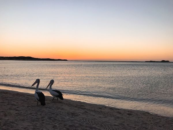 【澳洲露營】來趟以星空帷幕之旅！(租車、露營注意事項、經驗分享)