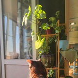 Анна.Мария