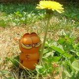 крипир:]