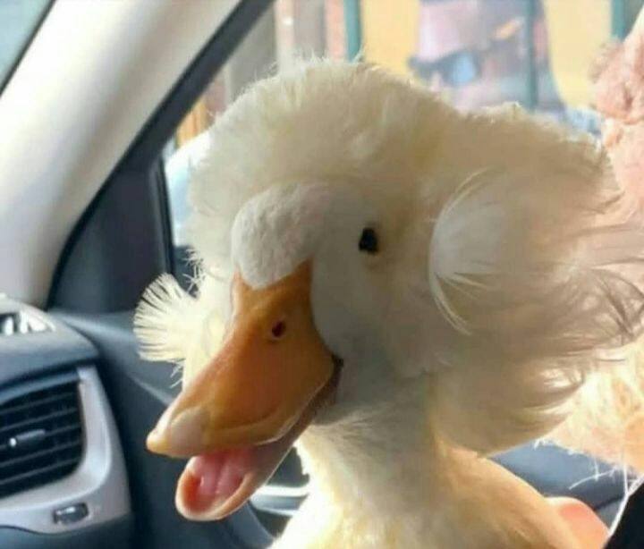 Biiizzzzz: خواهر عروس تو تالار😎join👉⛱ @biiizzzzz