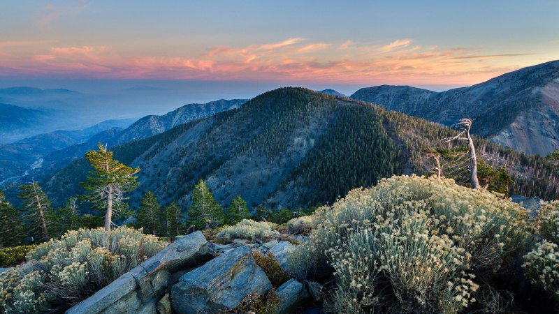 Taking the high roadSummit of Pine Mountain, Angeles National Forest, California (© Matthew Kuhns/TANDEM Stills + Motion)