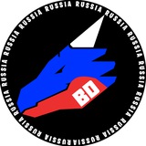 Отзывы Bad Dragon
