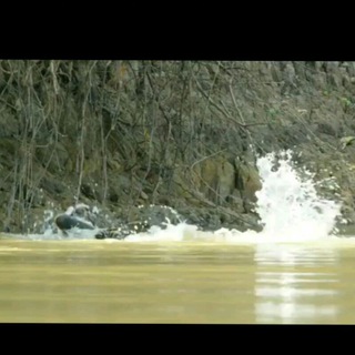 Tanzania community Telegram Group Link