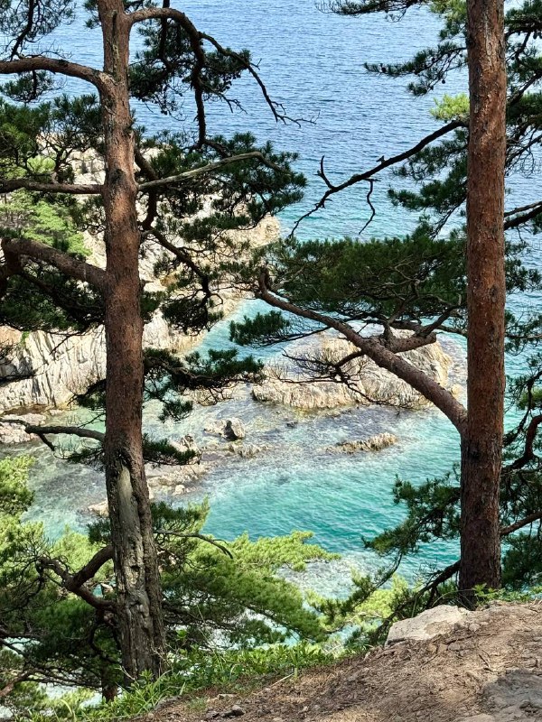 Неделя, как я в отпуске, и я наслаждаюсь красотой приморского края, любуясь невероятными пейзажами и цветом своих волос на фотографиях 🌹В такую жаркую погоду и при постоянном контакте с соленой водой особенно важно заботиться о качестве волос, чтобы они оставались здоровыми и красивыми. Напомню, я живу среди дикой природы, и сюрприз — прилетела с ручной кладью: купальник, авкатапки, кроссовки, очки, расческа, компьютерИменно поэтому я решила взять с собой впервые твердый шампунь (в формате мыла) — он измеряется не в миллилитрах, подойдет для всего тела, хорошо очищает кожу головы, не пересушивает волосы и является натуральным средством. Такой шампунь идеально подходит для походов и подобных путешествийТак что делаю выводы, твердый шампунь от бренда Kydra (голубого цвета) идеально подходит даже в экстремальных условиях отпускаЛишь бы вода была 🤭Неделя, как я в отпуске, и я наслаждаюсь красотой приморского края, любуясь невероятными пейзажами и цветом своих волос на фотографиях 🌹В такую жаркую погоду и при постоянном контакте с соленой водой особенно важно заботиться о качестве волос, чтобы они оставались здоровыми и красивыми. Напомню, я живу среди дикой природы, и сюрприз — прилетела с ручной кладью: купальник, авкатапки, кроссовки, очки, расческа, компьютерИменно поэтому я решила взять с собой впервые твердый шампунь (в формате мыла) — он измеряется не в миллилитрах, подойдет для всего тела, хорошо очищает кожу головы, не пересушивает волосы и является натуральным средством. Такой шампунь идеально подходит для походов и подобных путешествийТак что делаю выводы, твердый шампунь от бренда Kydra (голубого цвета) идеально подходит даже в экстремальных условиях отпускаЛишь бы вода была 🤭