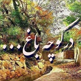 در کوچه باغِ...