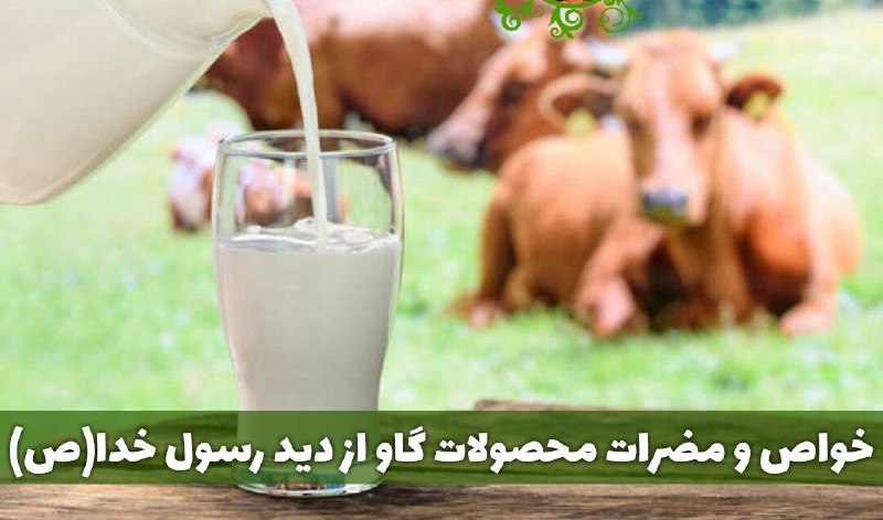 🌹اخبار گلین قیه و حومه🌹: #سلامتی شیرگاوشفا،روغن گاو دوا وگوشت آن مرض است بخاطر همین گوشت گاونخوریدمضرات آن👇🍖مصرف گوشت گاو باعث غلظت خون میشود🍖 با