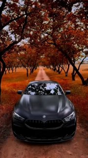 https://t.me/bmw_mpower_club
