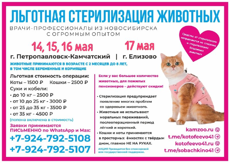 @help_animal41 posted a photo