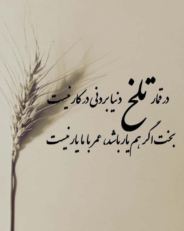 khodaye ghoror: در قمار تلخ دنیا بردنی در کار نیستبخت اگر هم یار باشد،عمر با ما یار نیست@mano_qororam