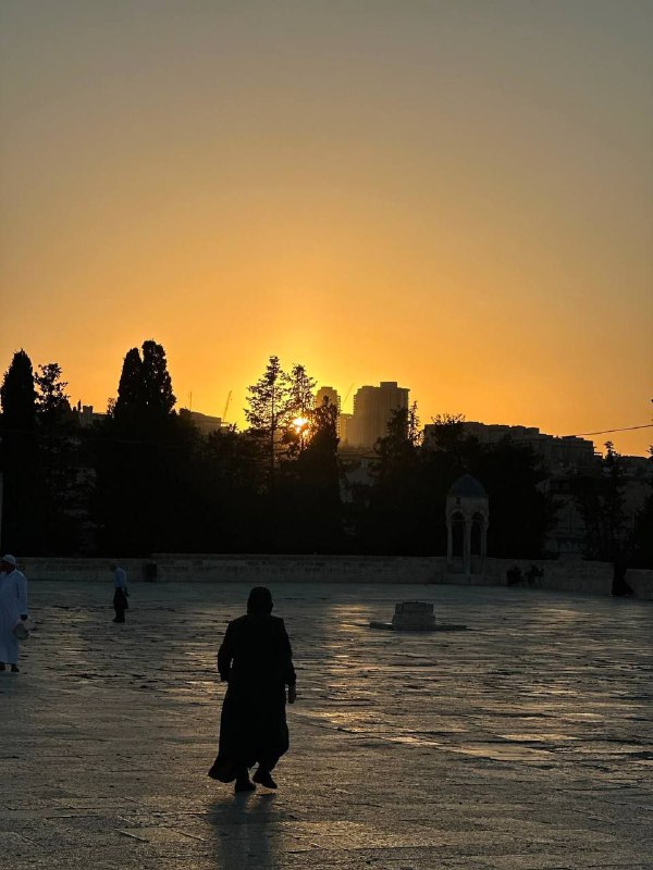 صور توثّق غروب الشمس من باحات المسجد الأقصى