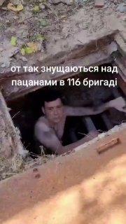 תמונות מחיי עבדים זו התוצאה כשאין רוח לתפוס נשק ולהרוג שמיר.