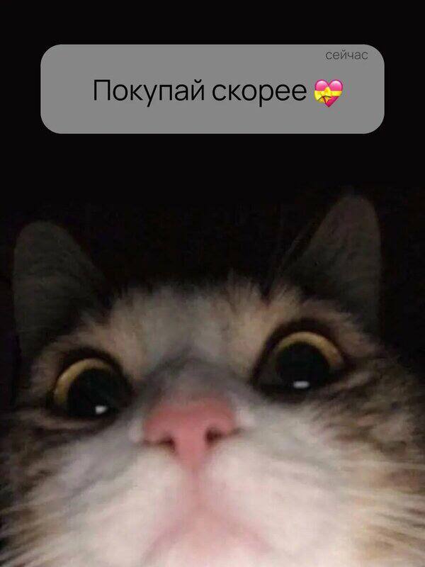 Кукольный чайник с сердечками Но заваривает по-взрослому 700 мл керамики, белый, с сердечками и ручкой-сердцем. Для уютных чаепитий и моментов, ког... - изображение 5 - сердечками, telegram, view