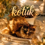 Kotik Treade