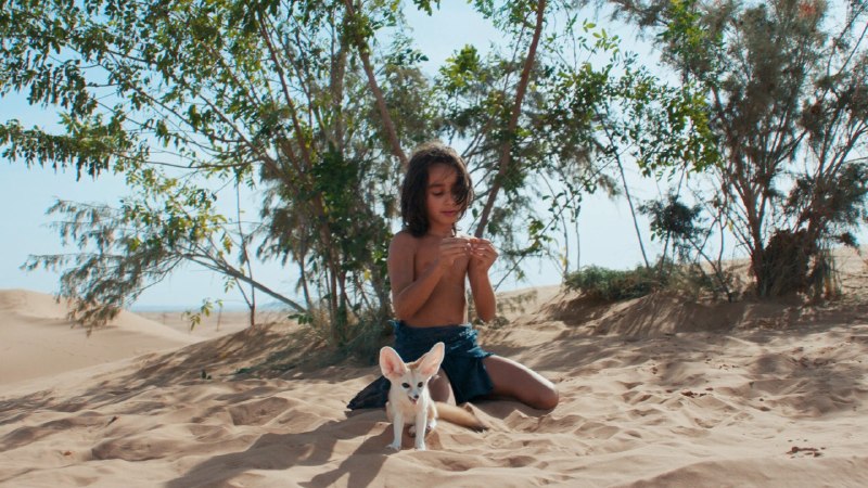 تاینی موویز | Tiny Moviez: 🎬 هم اکنون میتوانید فیلم « The Desert Child 2026 فرزند صحرا » را با زیرنویس فارسی چسبیده به همراه پخش آنلاین از وب سایت
