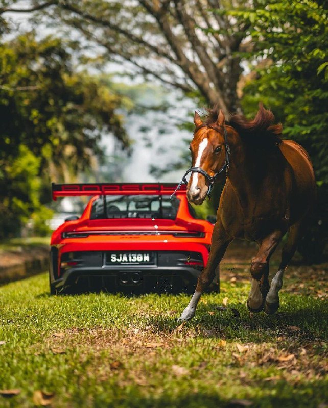 GT3 RS + 1 л.с. 8