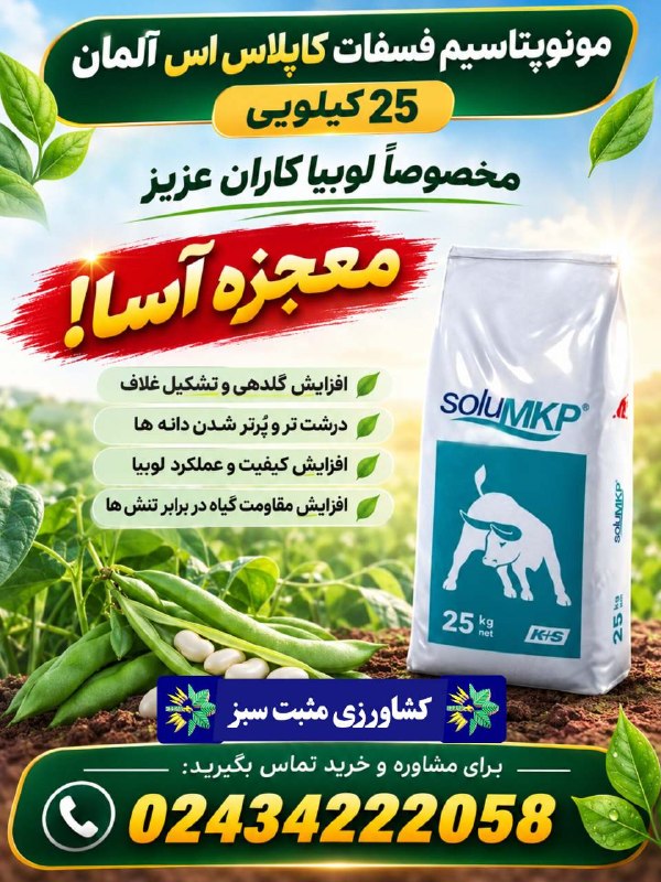قیدار آنلاین: 🚜 لوبیا میکاری؟ اینو از دست نده!معجزهای برای محصول پُربارتر!🔻همین حالا عضو شو👇🏻https://t.me/mosbatsabz