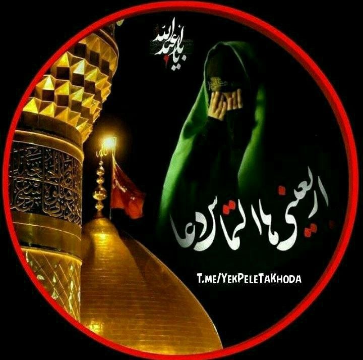 💕 صاحب الزمان (عج )💕: 🌹 🌺 اربعینی ها !یادتان باشد که ستون به ستون را مدیون قطره قطره خون🌷شهیـــــــدانید ...🌺 اربعینی ها وقتی چشمتان به گنبد ز