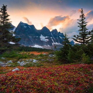 Telegram profile photo for Природа | Красоты со всего Мира