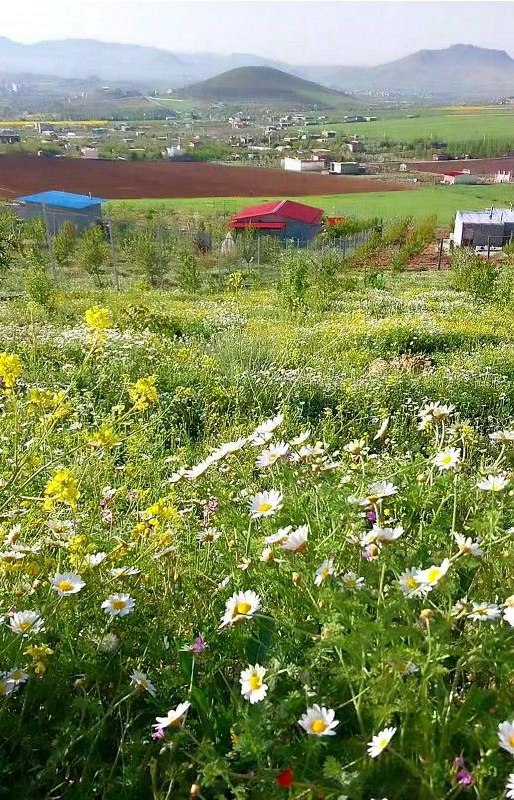 اتومبیل زیرک: رسانه پست
