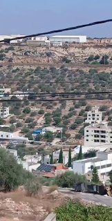כוחות הכיבוש מסתערים על העיירה כפר אל-דיק, ממערב לסלפית.
